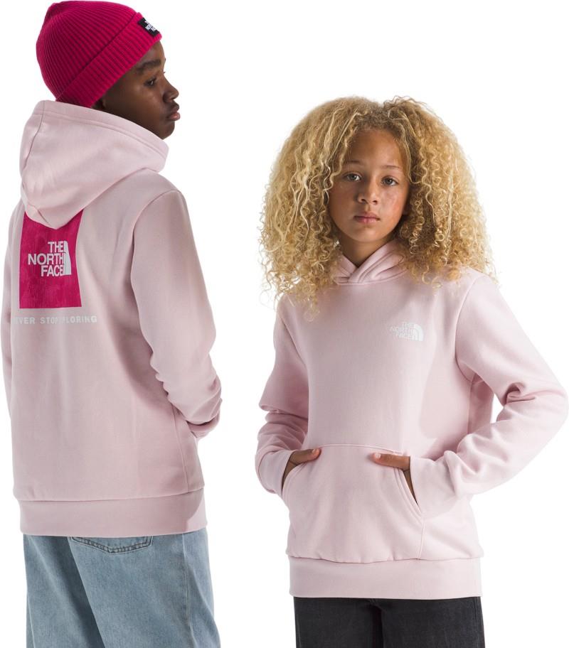 Evolution Box NSE Pullover Graphic Hoodie - Teen - pale blossom / lali guran regenerative ink print 1