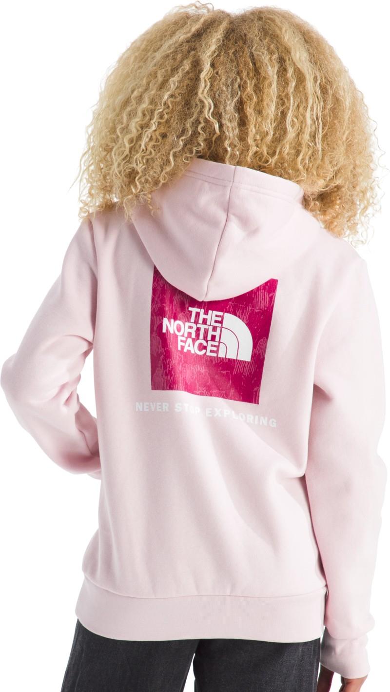 Evolution Box NSE Pullover Graphic Hoodie - Teen - pale blossom / lali guran regenerative ink print 1