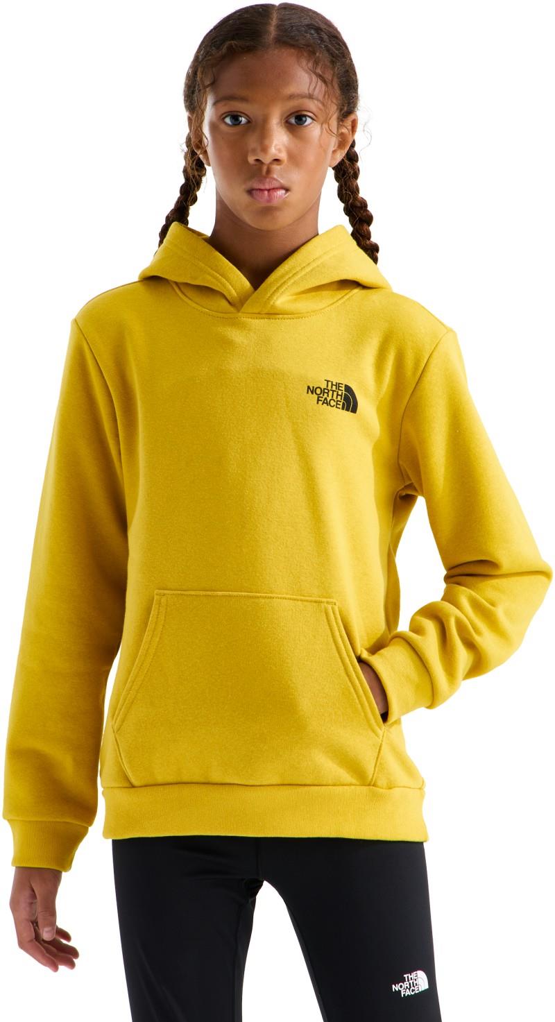 Evolution Box NSE Pullover Graphic Hoodie - Teen - pigment yellow / new taupe green yosemite oak 1