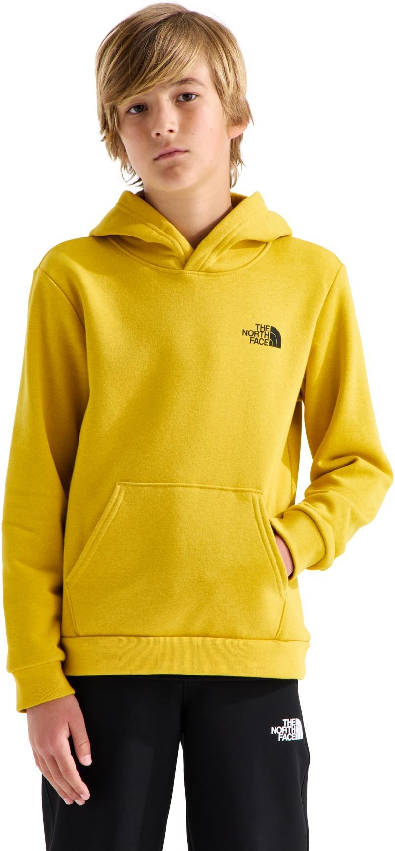 Evolution Box NSE Pullover Graphic Hoodie - Teen - pigment yellow / new taupe green yosemite oak 1