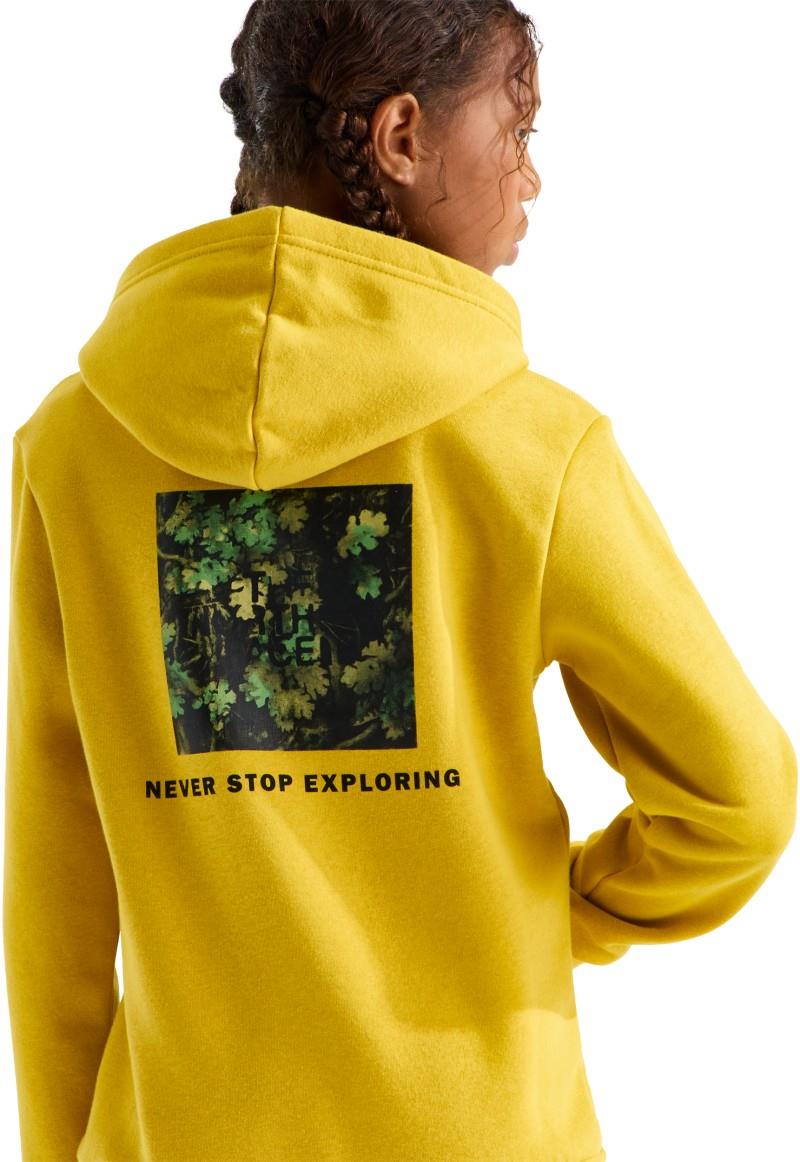Evolution Box NSE Pullover Graphic Hoodie - Teen - pigment yellow / new taupe green yosemite oak 1