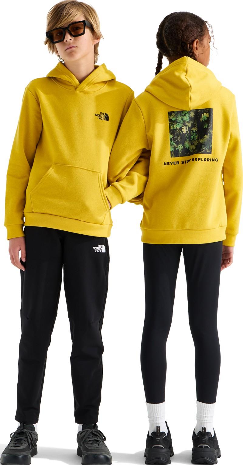 Evolution Box NSE Pullover Graphic Hoodie - Teen - pigment yellow / new taupe green yosemite oak 1