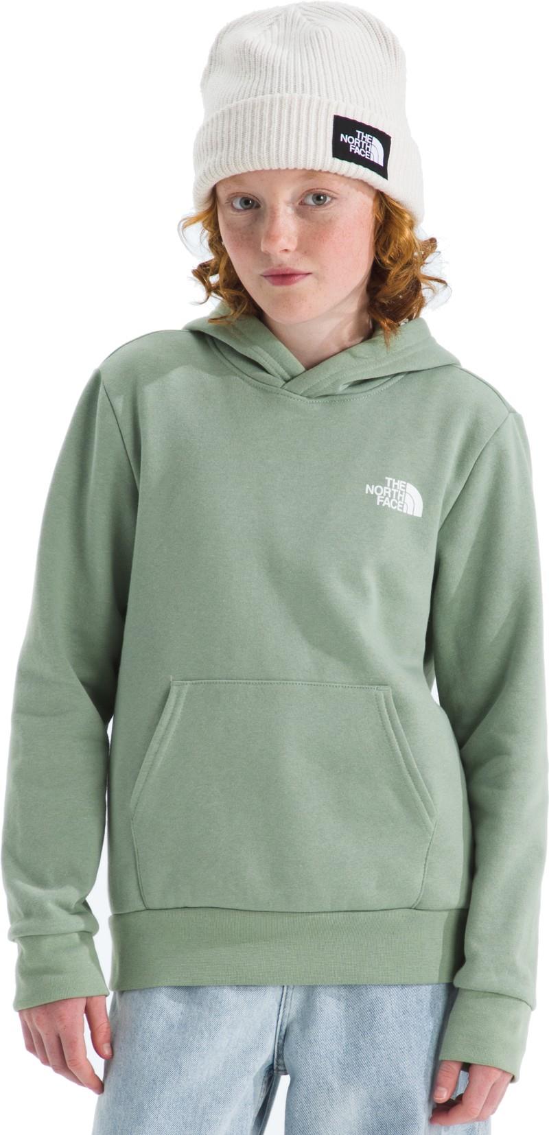 Evolution Box NSE Pullover Graphic Hoodie - Teen - slate moss 1