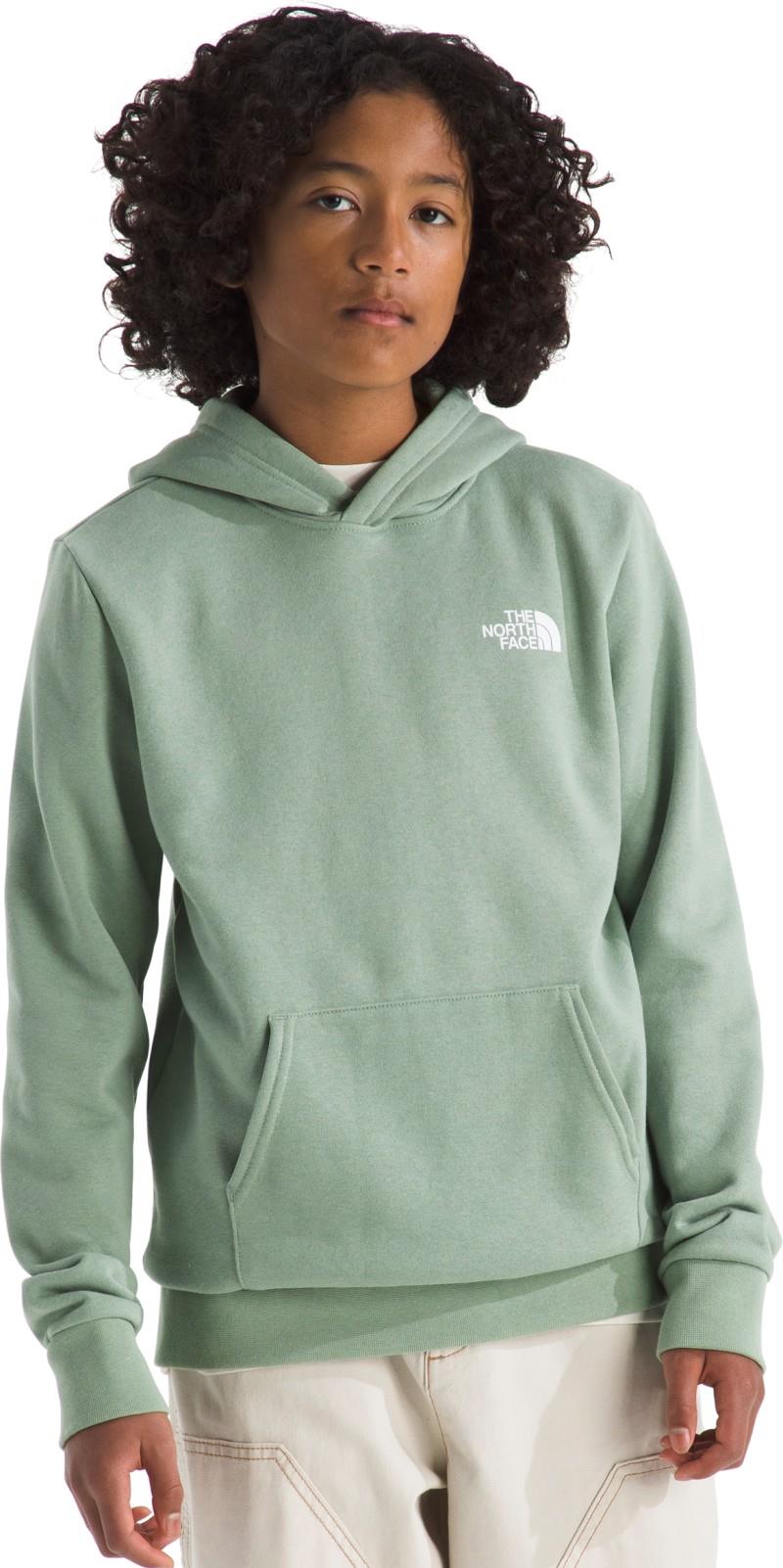 Evolution Box NSE Pullover Graphic Hoodie - Teen - slate moss 1
