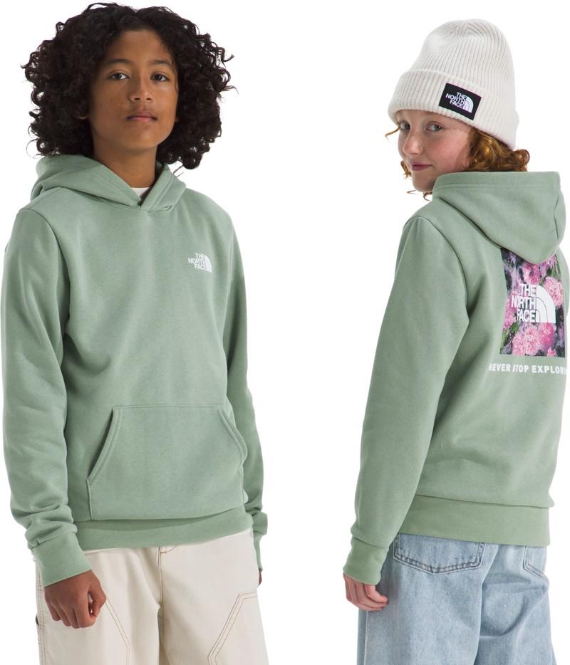 Evolution Box NSE Pullover Graphic Hoodie - Teen - slate moss 1