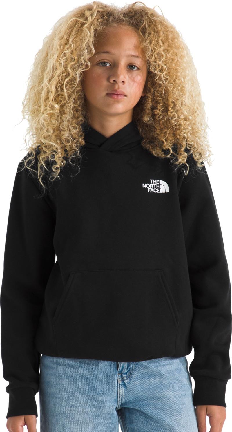 Evolution Box NSE Pullover Graphic Hoodie - Teen - tnf black 1