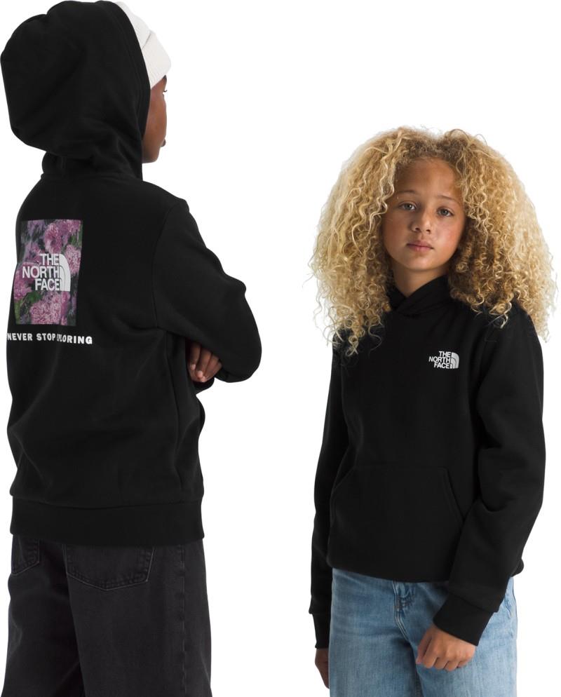Evolution Box NSE Pullover Graphic Hoodie - Teen - tnf black 1