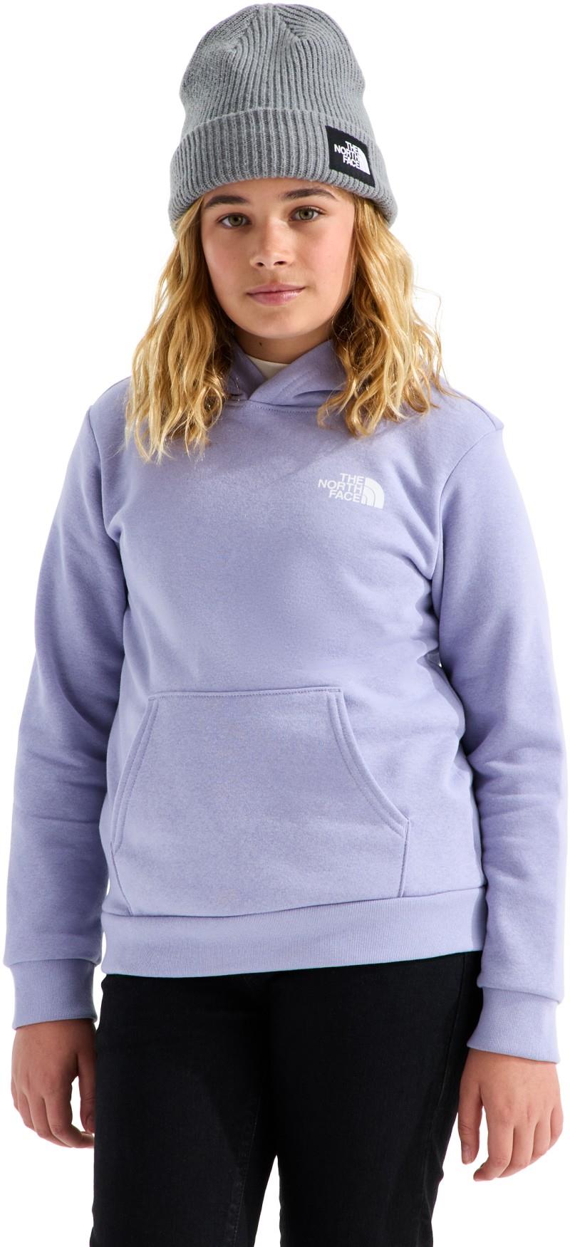 Evolution Box NSE Pullover Hoodie - Teen - pale plum 1