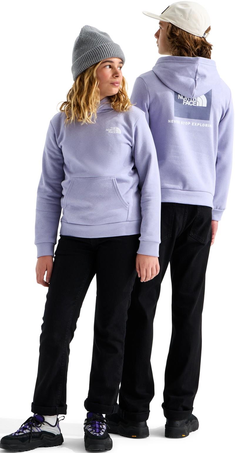 Evolution Box NSE Pullover Hoodie - Teen - pale plum 1