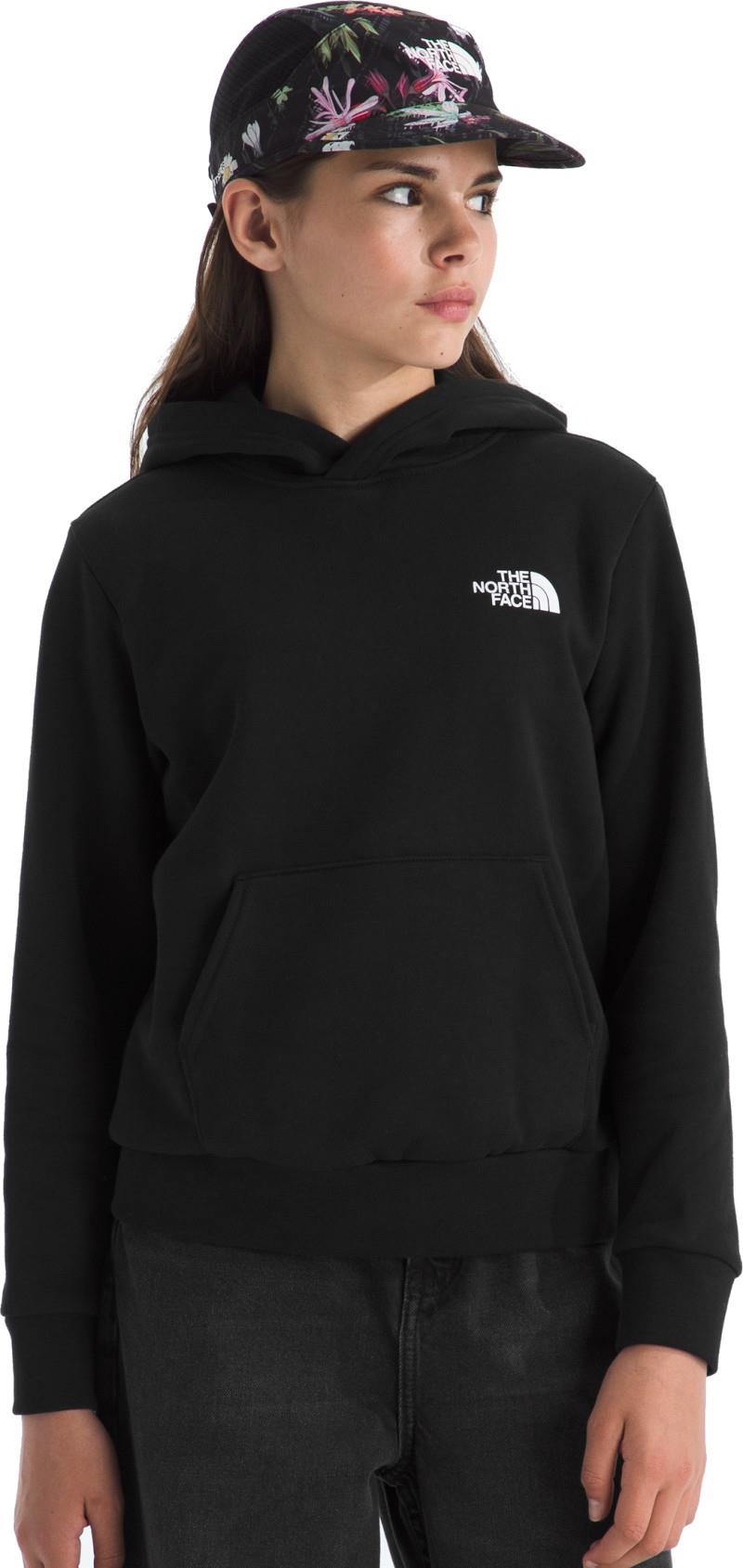 Evolution Box NSE Pullover Hoodie - Teen - tnf black 1