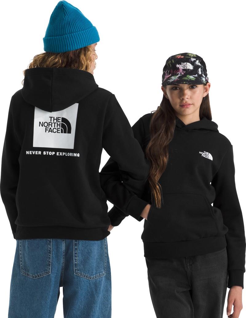 Evolution Box NSE Pullover Hoodie - Teen - tnf black 1
