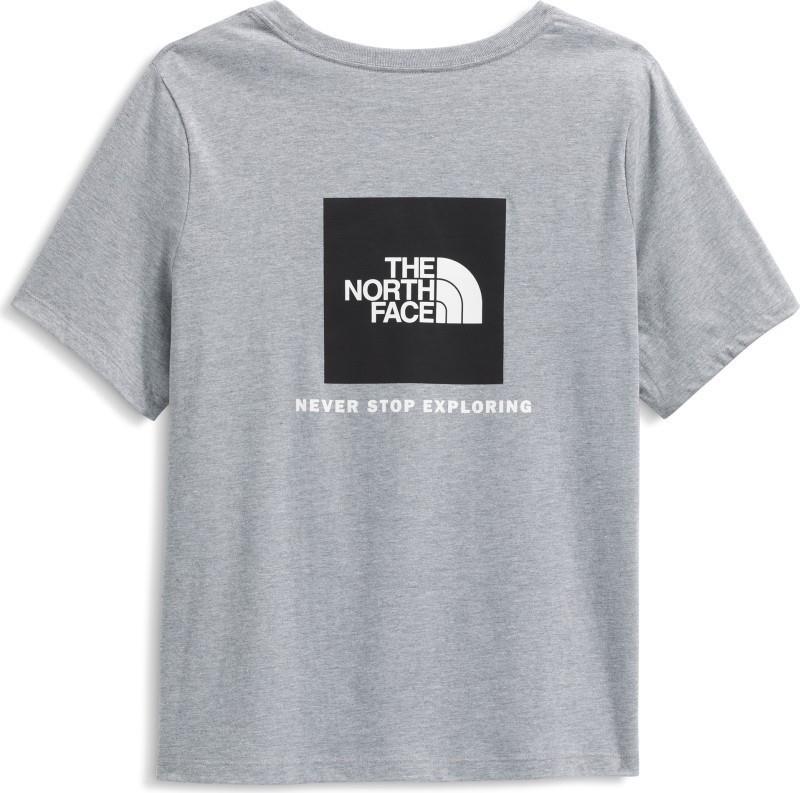 Evolution Box NSE SS Tee, Plus - Womens - tnf pale grey heather 1