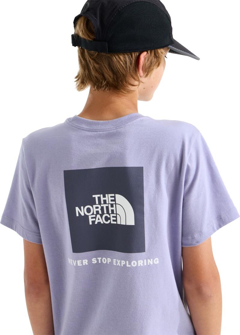 Evolution Box NSE SS Tee - Teen - pale plum 1
