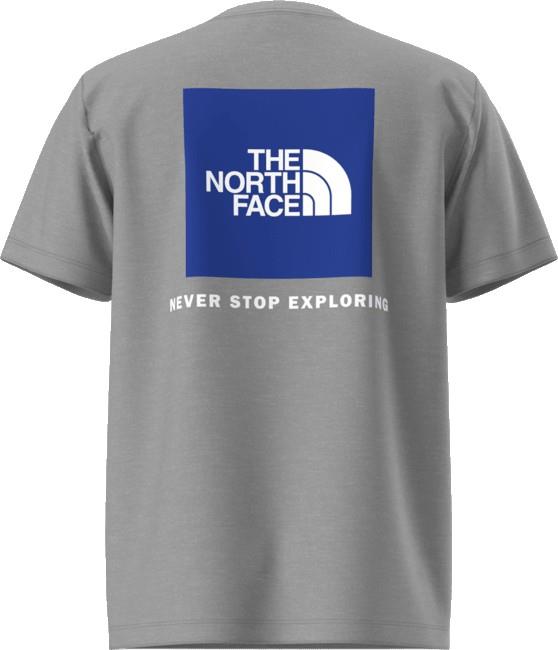 Evolution Box NSE SS Tee - Teen - tnf pale grey heather 1