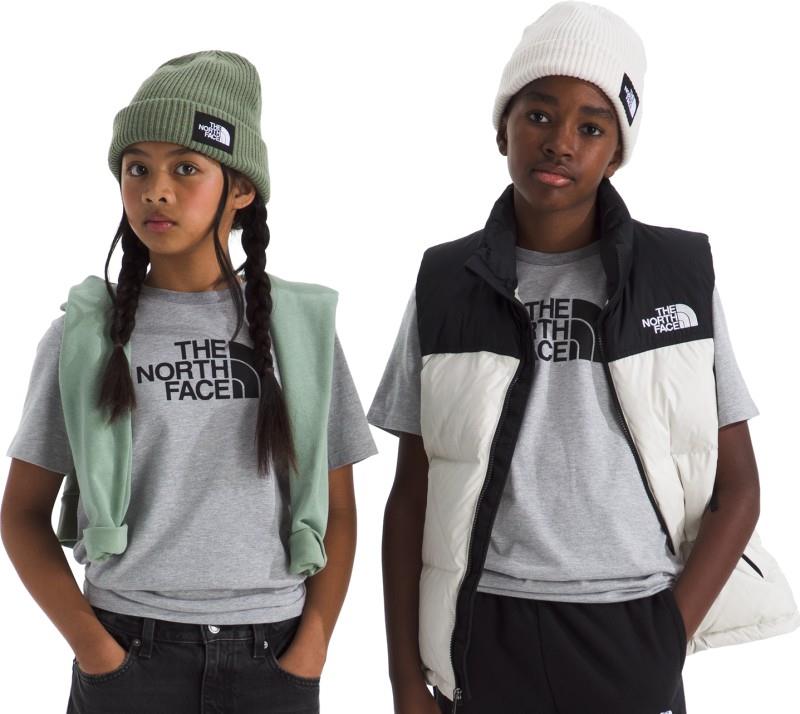 Evolution Half Dome SS Tee - Teen - tnf pale grey heather 1