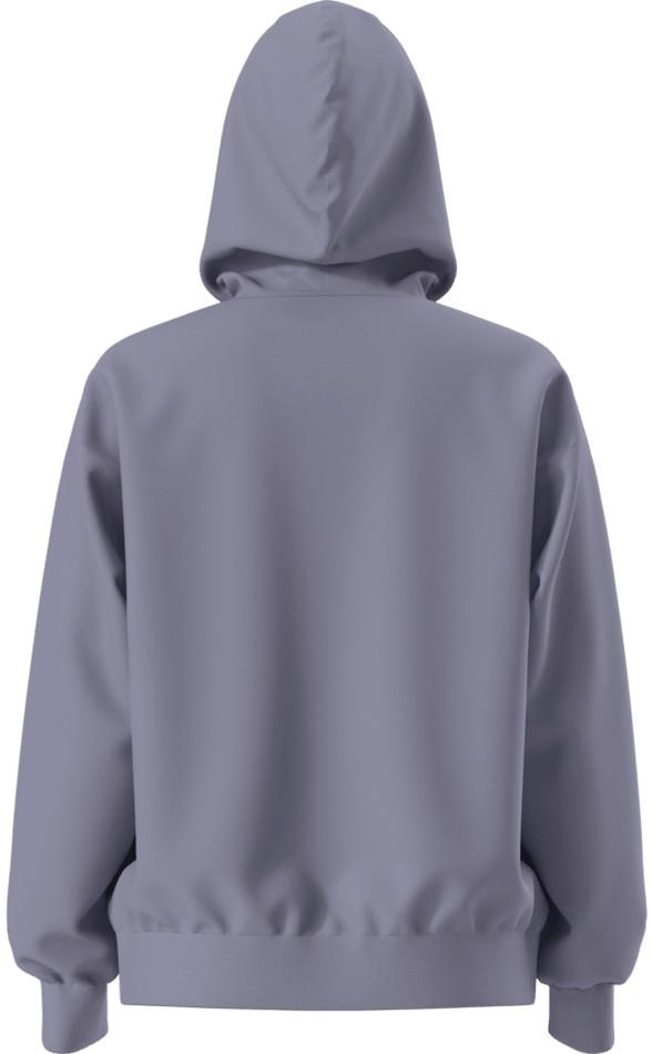 Evolution Mountain Oasis Oversize Hoodie - Womens - grounded plum 1