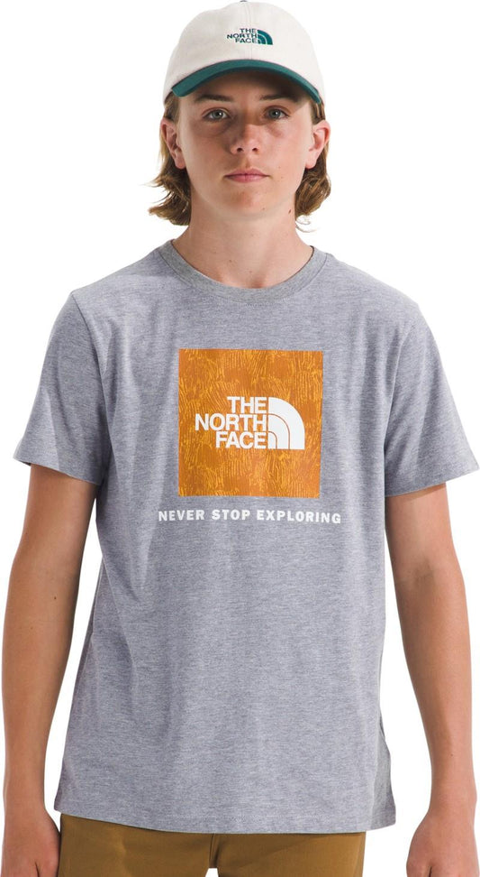 Evolution Print Box NSE SS Tee - Teen - tnf pale grey heather / summit gold regenerative i 1
