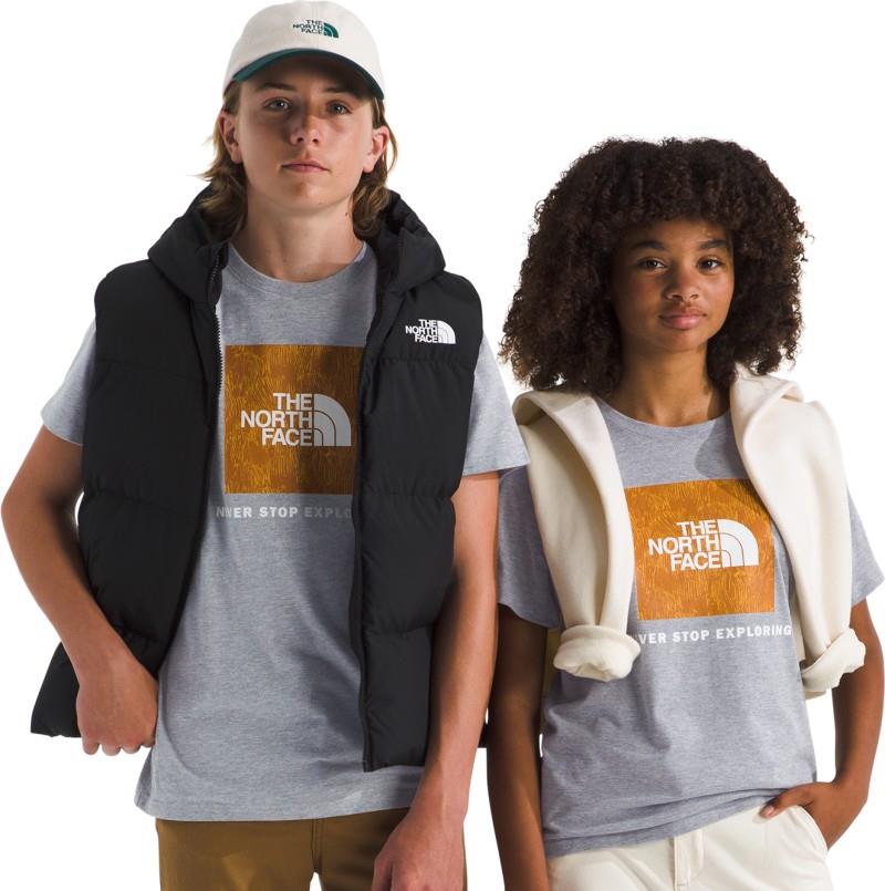 Evolution Print Box NSE SS Tee - Teen - tnf pale grey heather / summit gold regenerative i 1