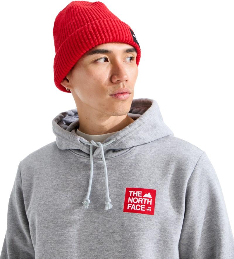 Evolution TNF Peak Hoodie - Mens - tnf pale grey heather 1