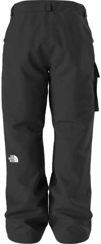 Freedom Insulated Pants, Short - Mens - tnf black 1