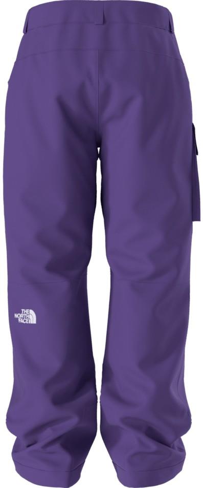 Freedom Pants, Short - Mens - peak purple / tnf black 1