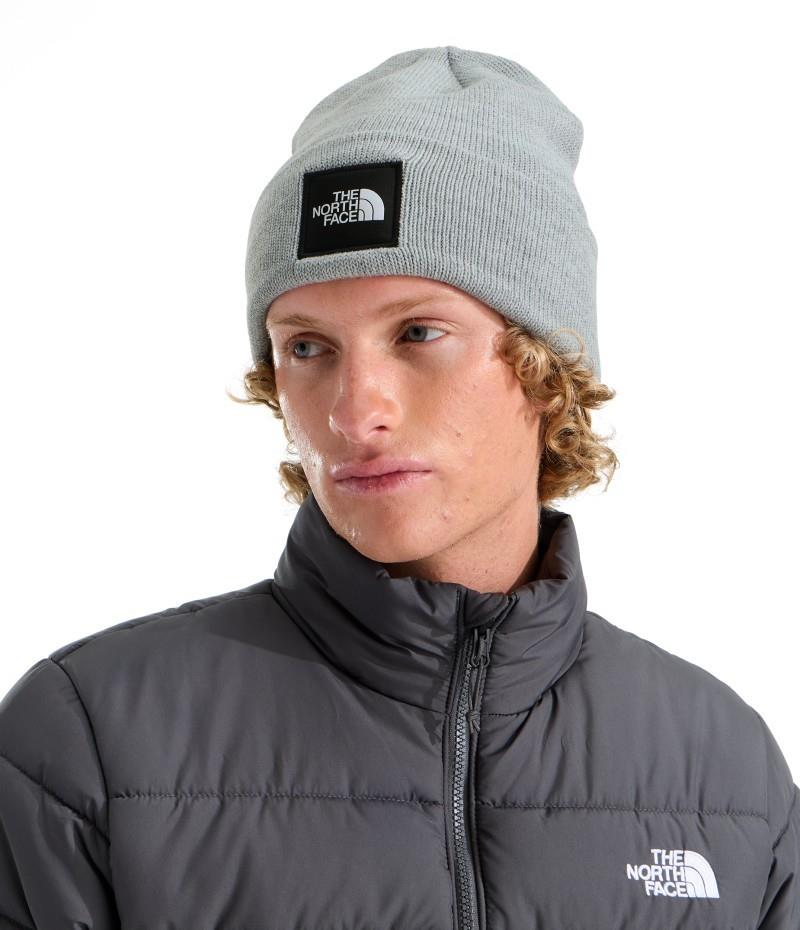 HW Dock Worker Beanie - tnf pale grey heather 1