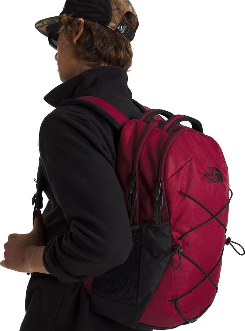 Jester - beetroot / tnf black 1