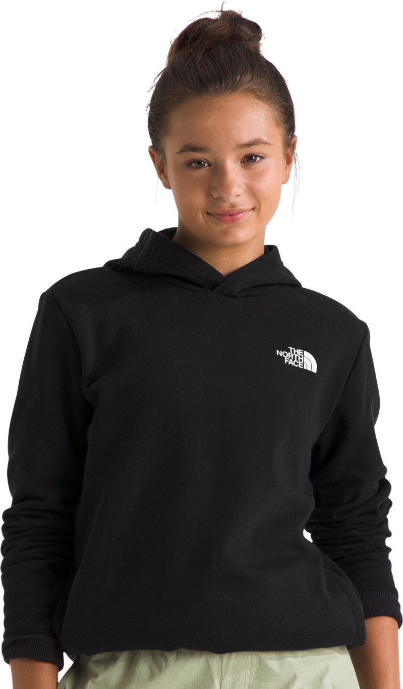 Landscapes Pullover Graphic Hoodie - Teen - tnf black 1