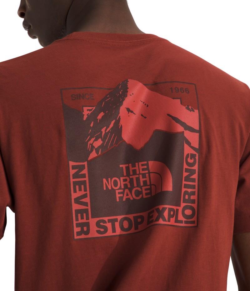 Mountain Scape SS Tee - Mens - iron clay 1