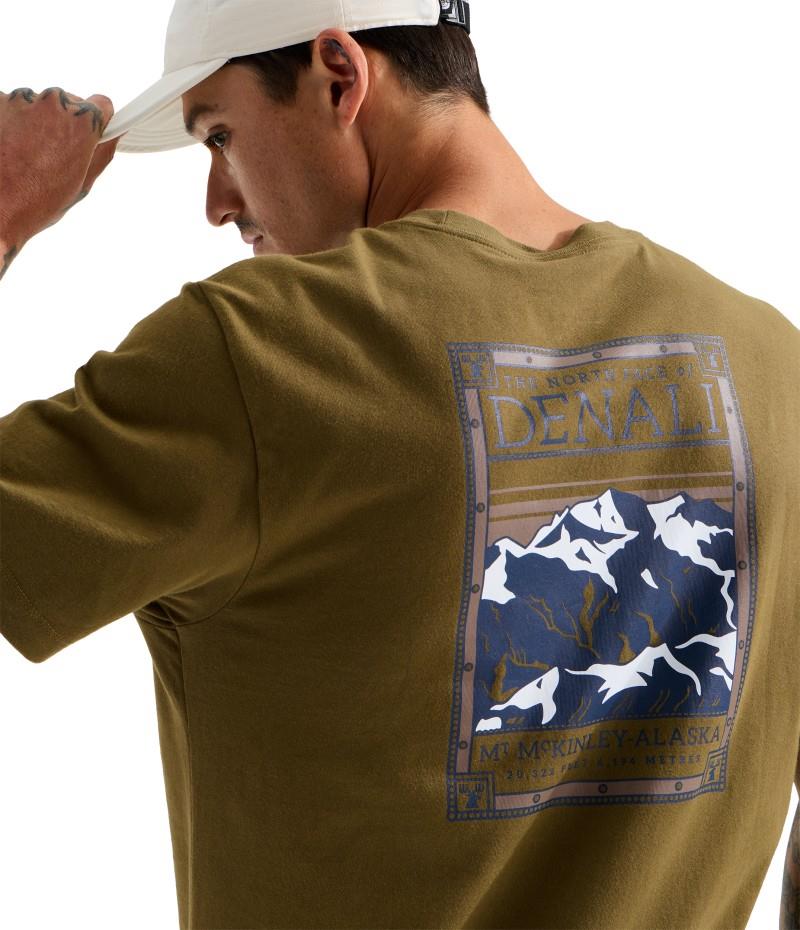 North Faces Graphic SS Tee - Mens - caraway seed 1