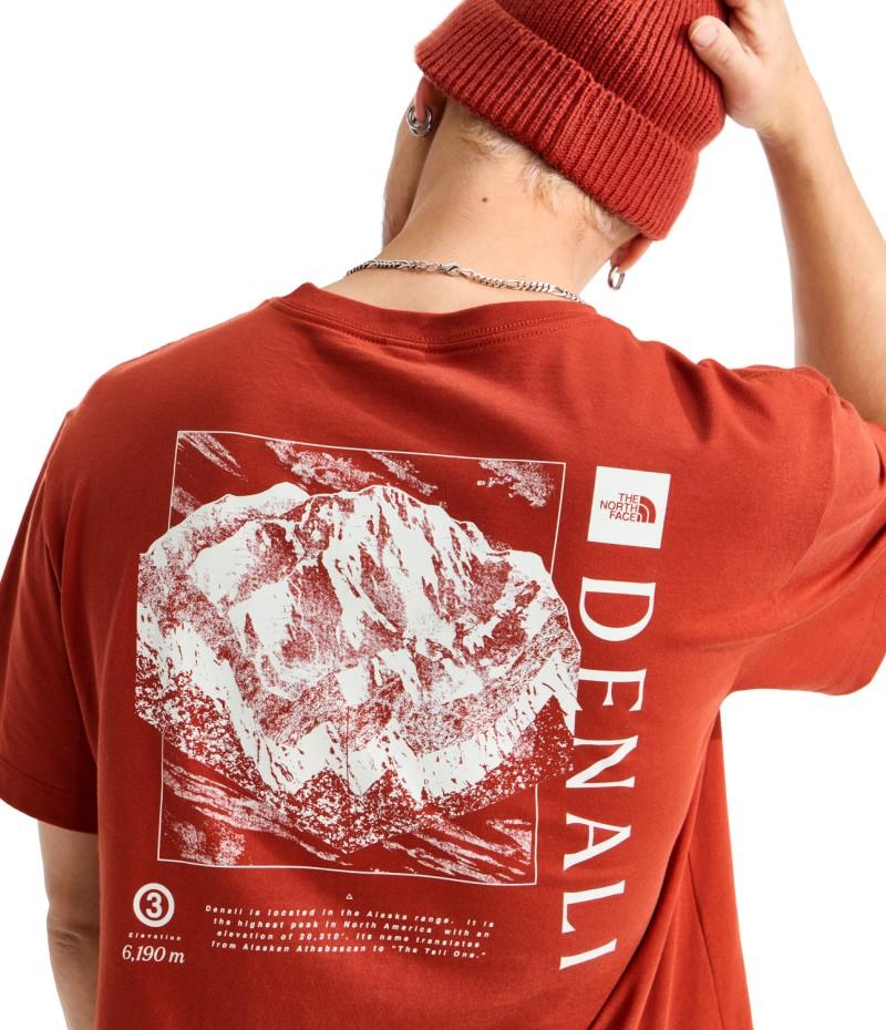 Places We Love SS Tee - Denali - Mens - iron clay 1