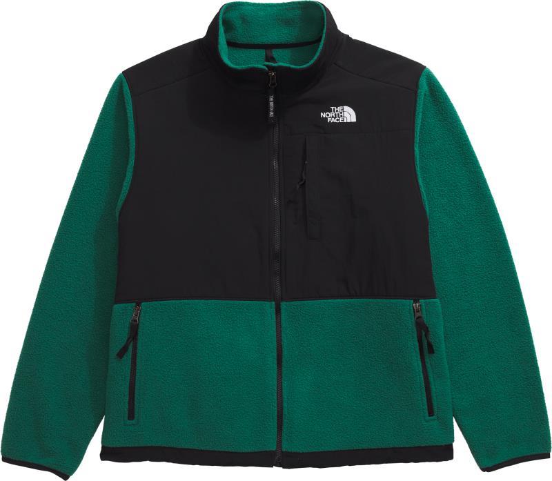 Retro Denali Jacket, Plus - Womens - evergreen / tnf black 1
