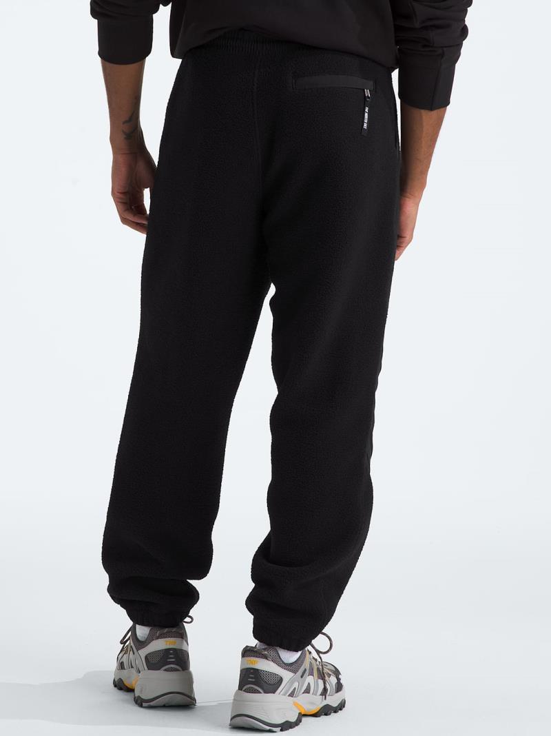 Retro Denali Pants, Reg - Mens - tnf black 1