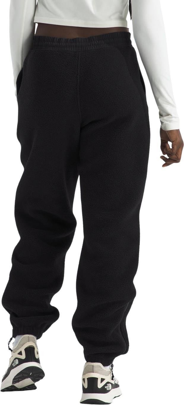 Retro Denali Pants, Reg - Womens - tnf black 1
