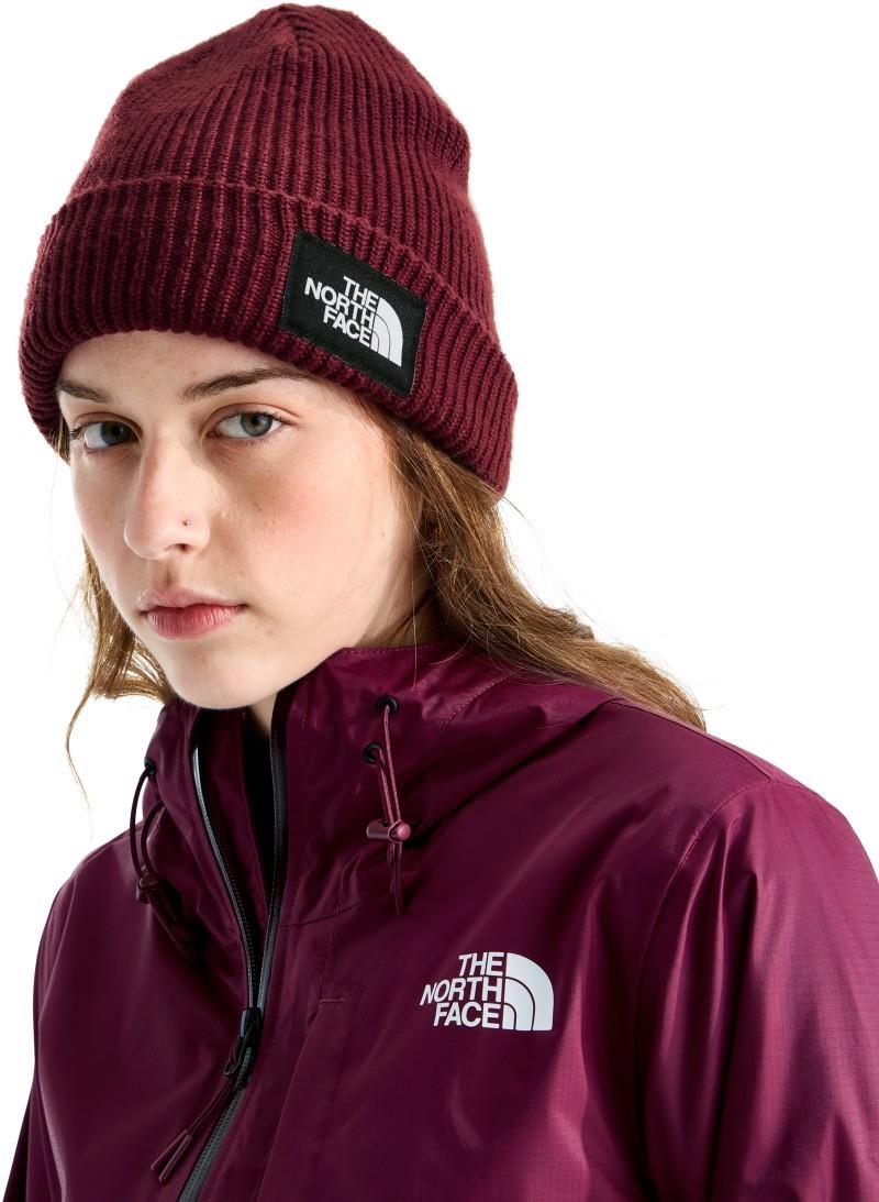 Salty Lined Beanie - burgundy crush 1