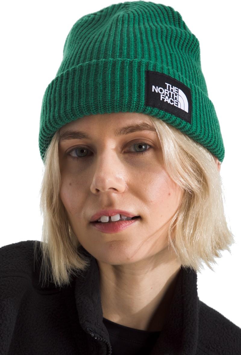 Salty Lined Beanie - evergreen 1