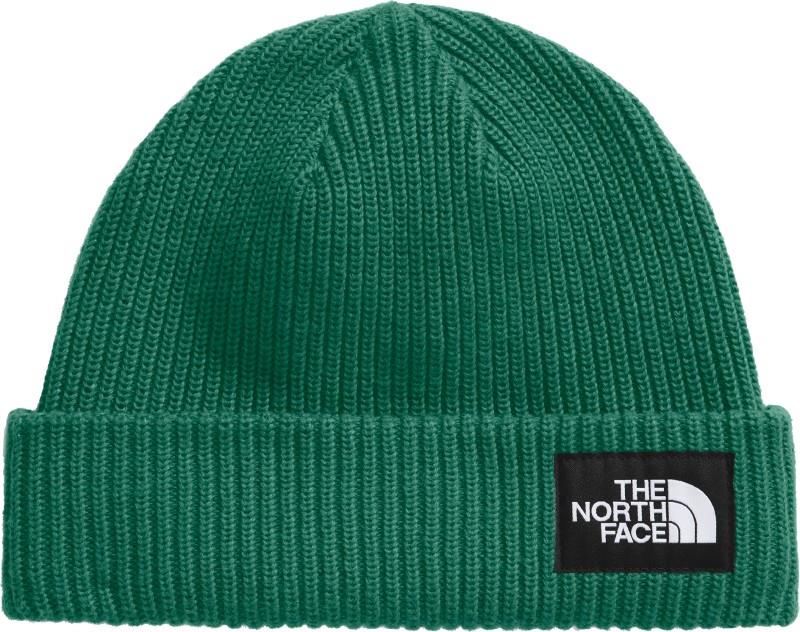 Salty Lined Beanie - evergreen 1
