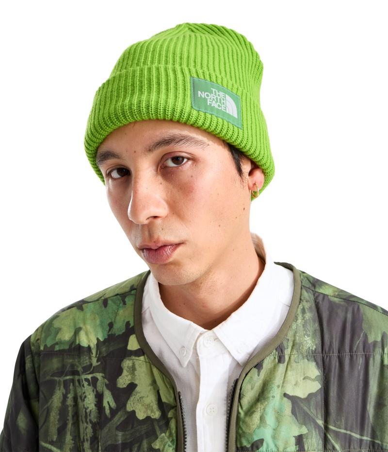 Salty Lined Beanie - sport moss 1