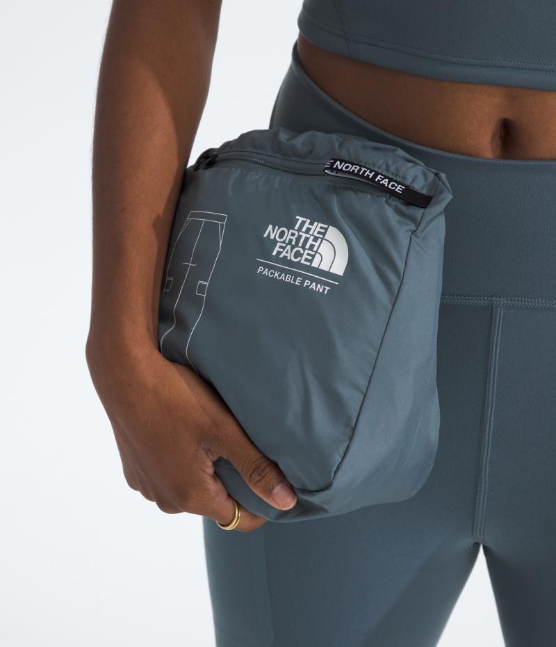 TNF Easy Wind Cargo Pants, Reg - Womens - granite grey 1