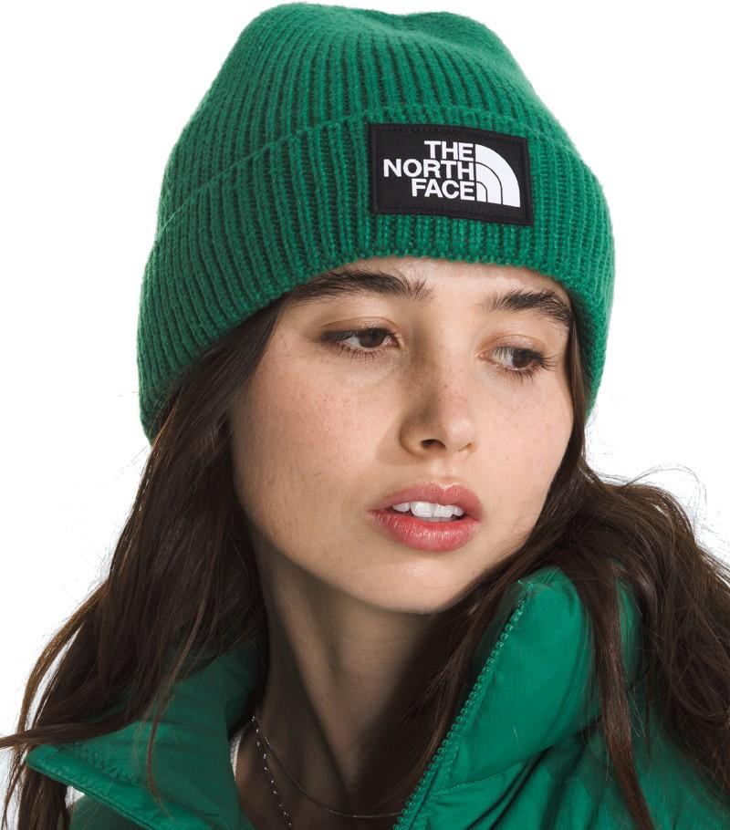 TNF Logo Box Cuffed Beanie - evergreen 1