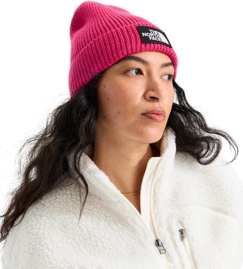 TNF Logo Box Cuffed Beanie - lali guran 1
