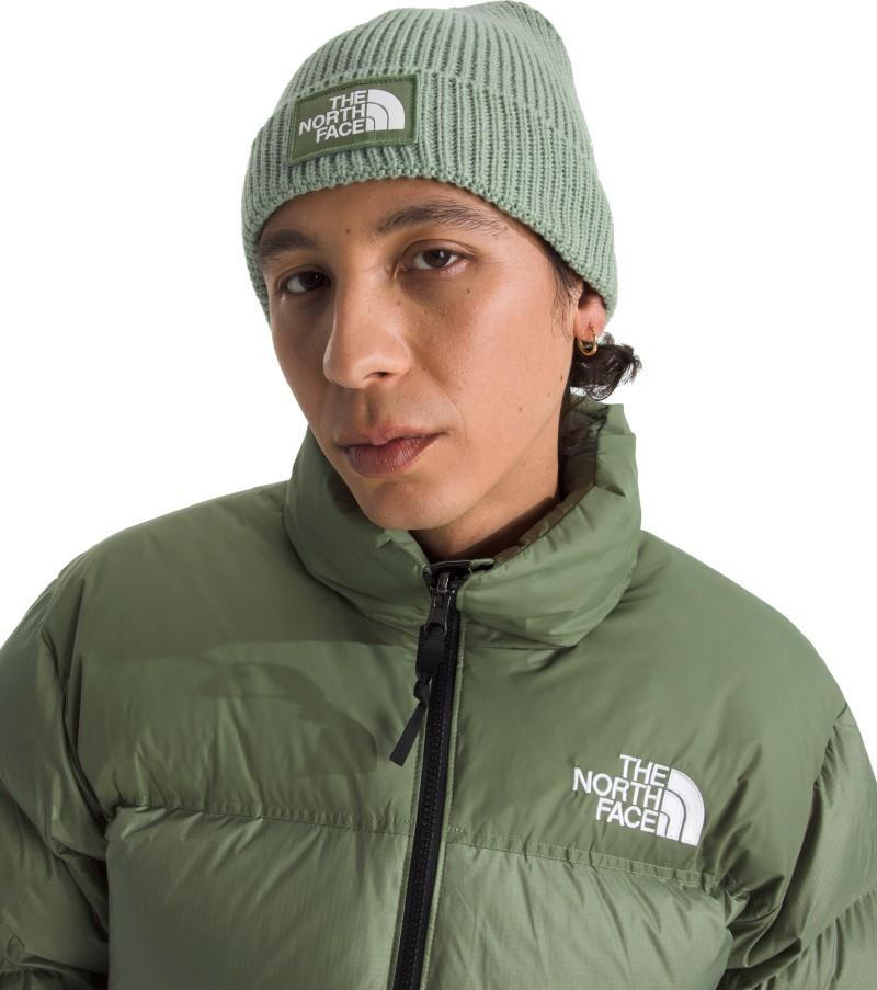 TNF Logo Box Cuffed Beanie - slate moss / bark mist 1