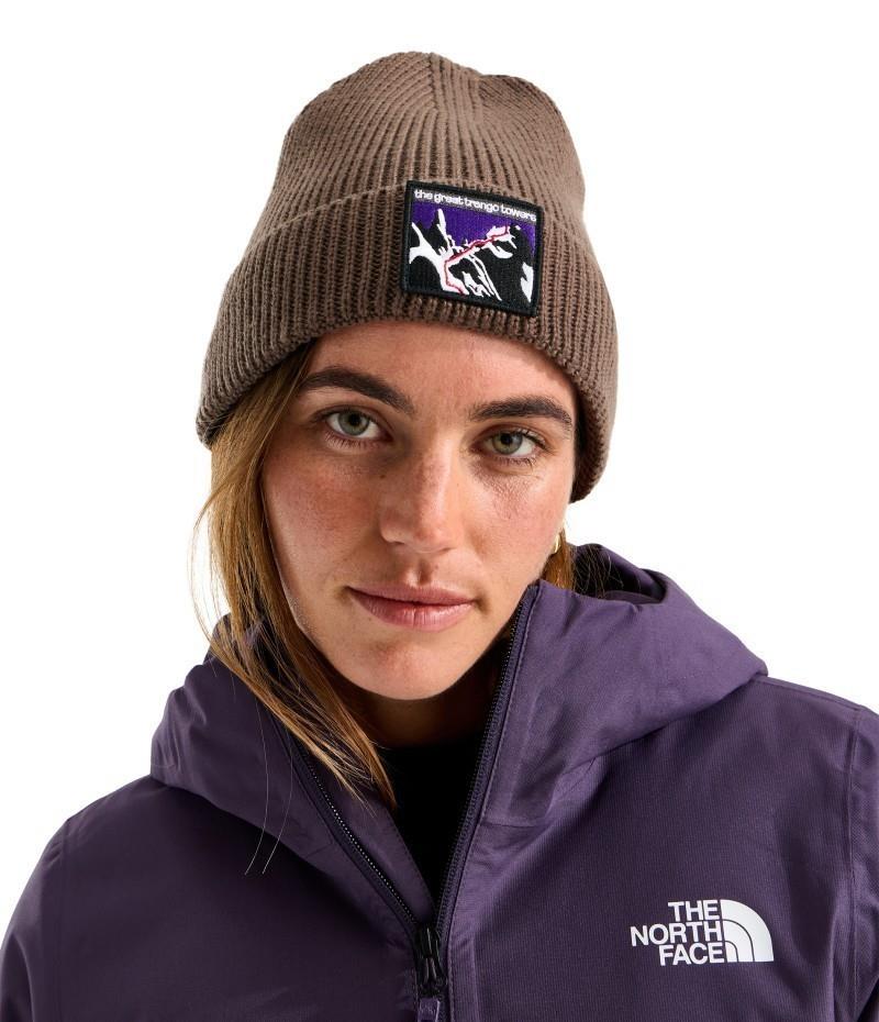 TNF Logo Box Cuffed Beanie - smokey brown / expedition proven patch 1