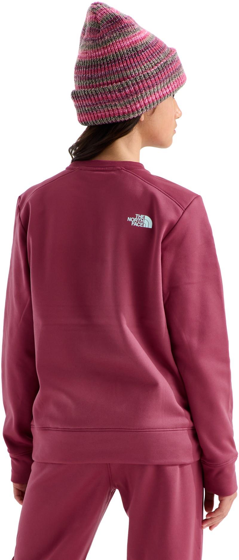 TNF Performance Fleece Crew - Teen - fermented clay 1