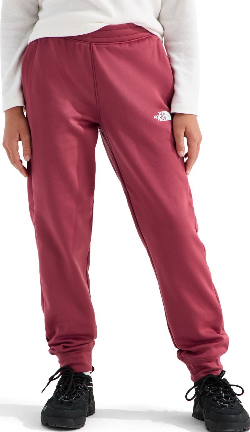 TNF Performance Fleece Joggers - Teen - fermented clay 1