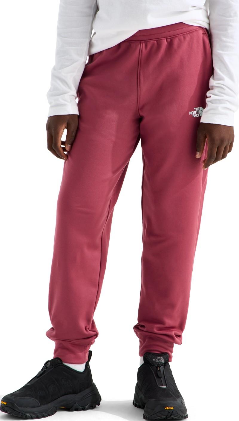 TNF Performance Fleece Joggers - Teen - fermented clay 1