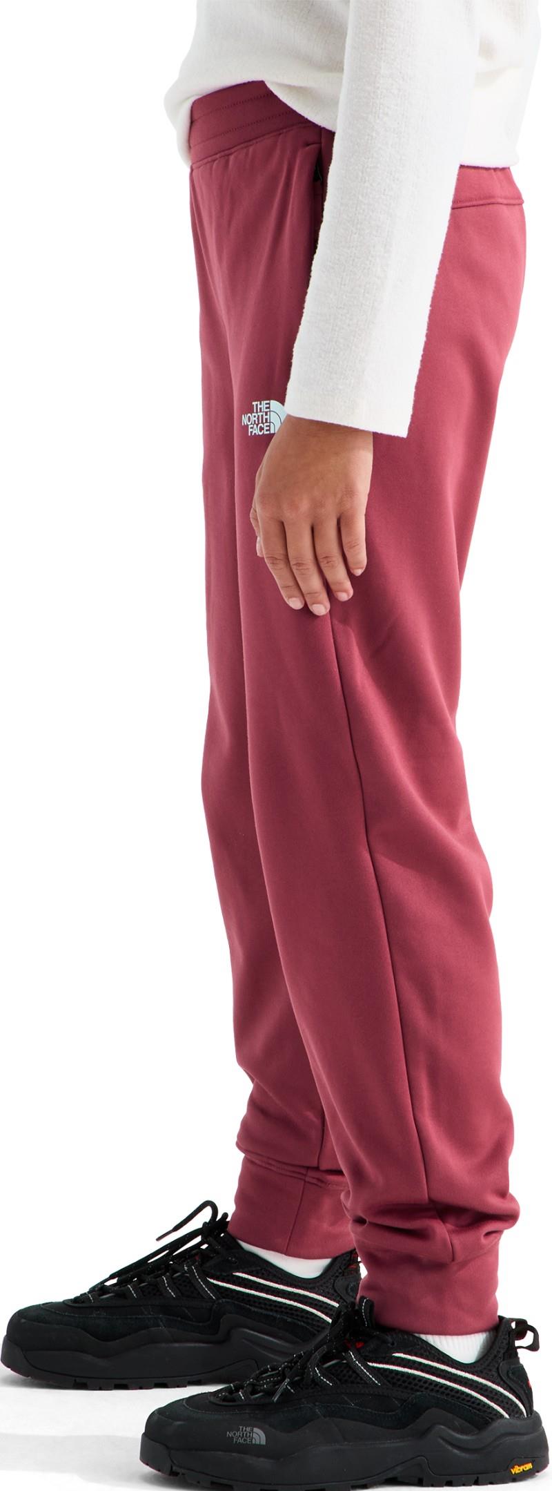 TNF Performance Fleece Joggers - Teen - fermented clay 1