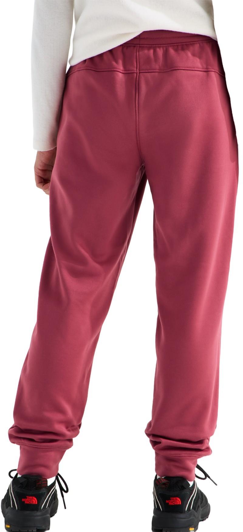 TNF Performance Fleece Joggers - Teen - fermented clay 1