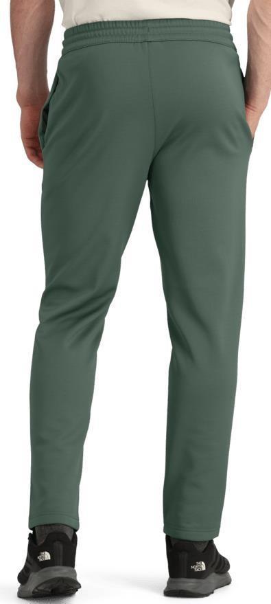 TNF Performance Fleece Pants, Reg - Mens - duck green 1