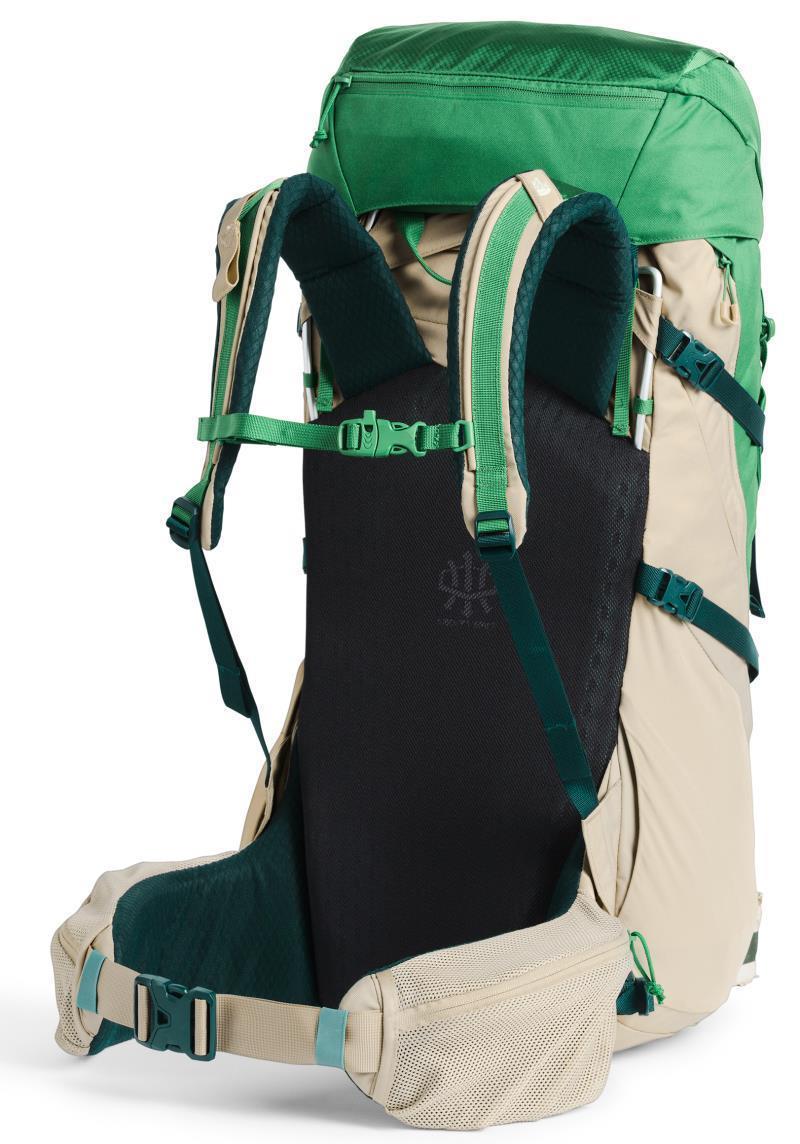 Terra 55 - Twill Beige / Sullivan Green 2
